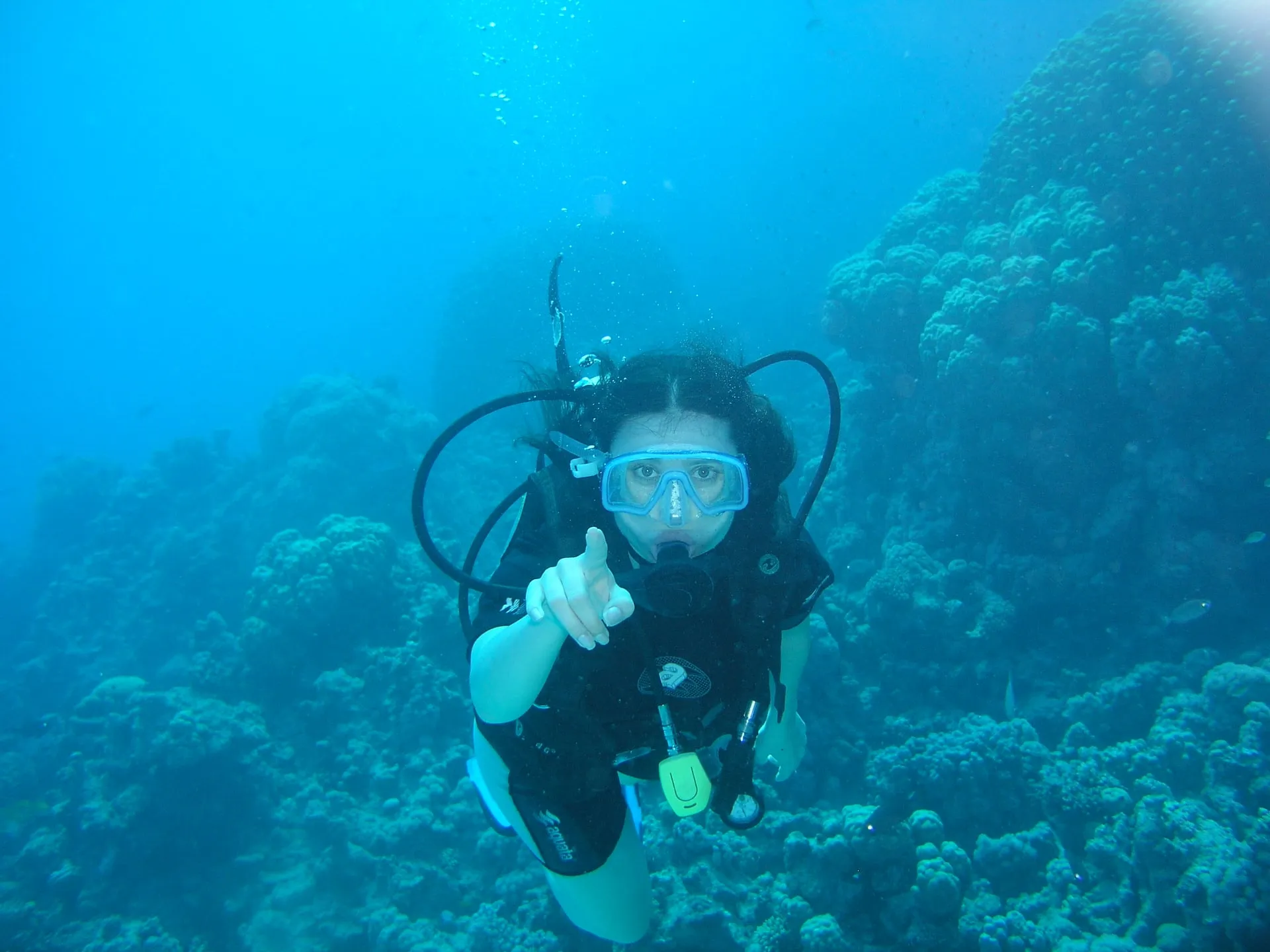 Photo 1 from “Diving in the Red Sea”