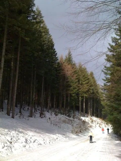 Photo 3 from “Skiing, after 2 years”