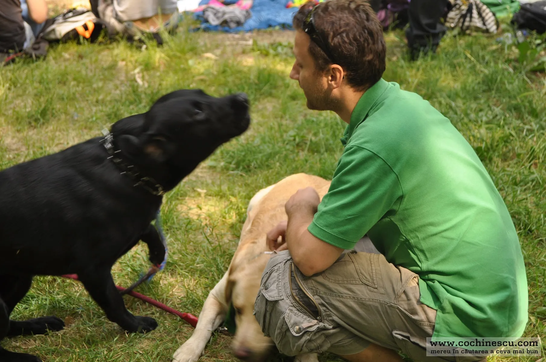 Photo 4 from “With Metropotam in Carol Park”