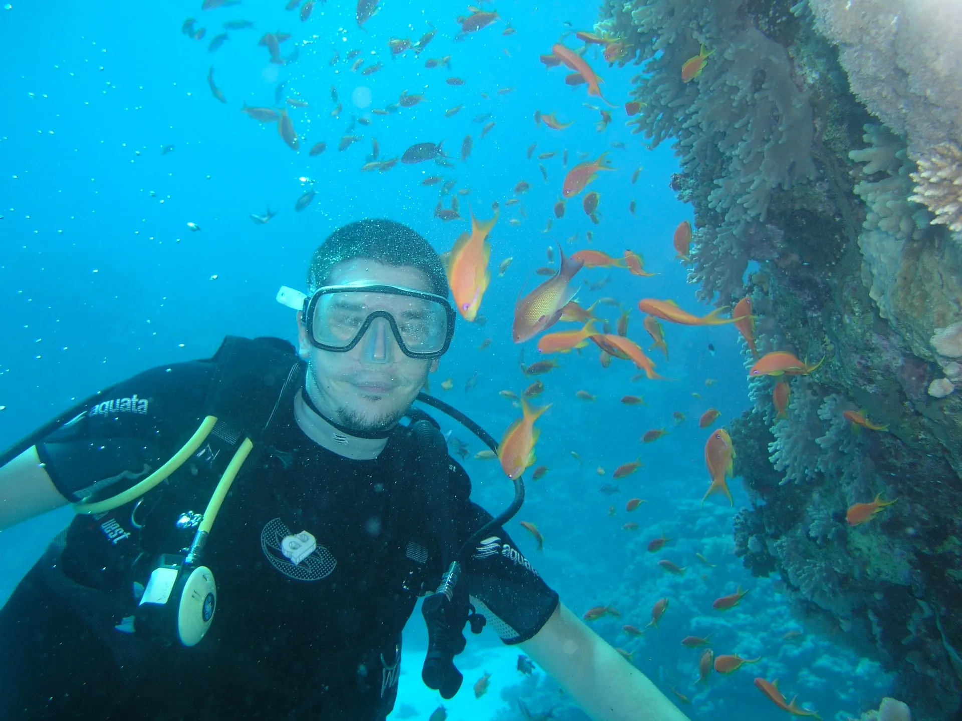 Photo 5 from “Diving in the Red Sea”