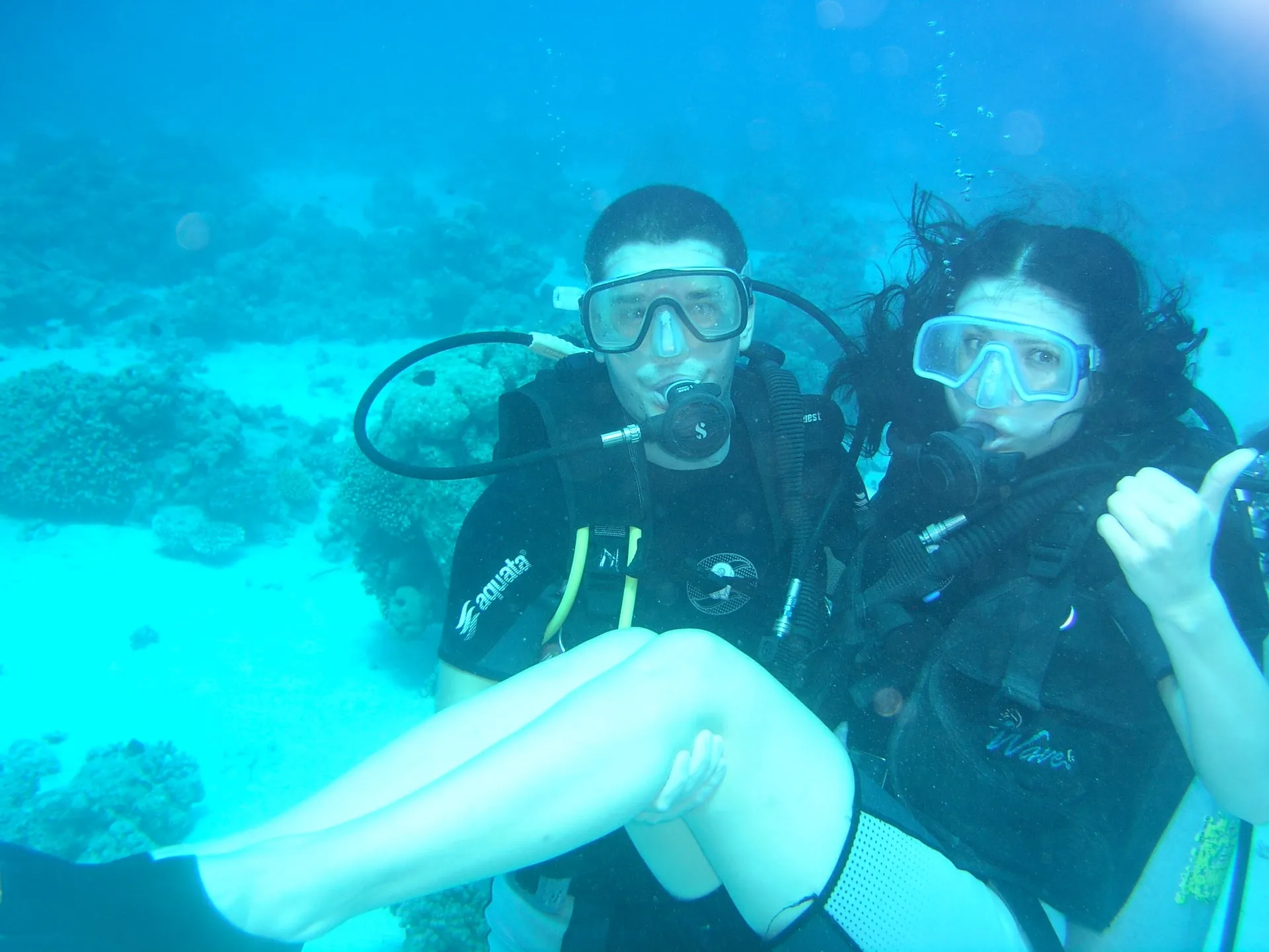 Photo 6 from “Diving in the Red Sea”