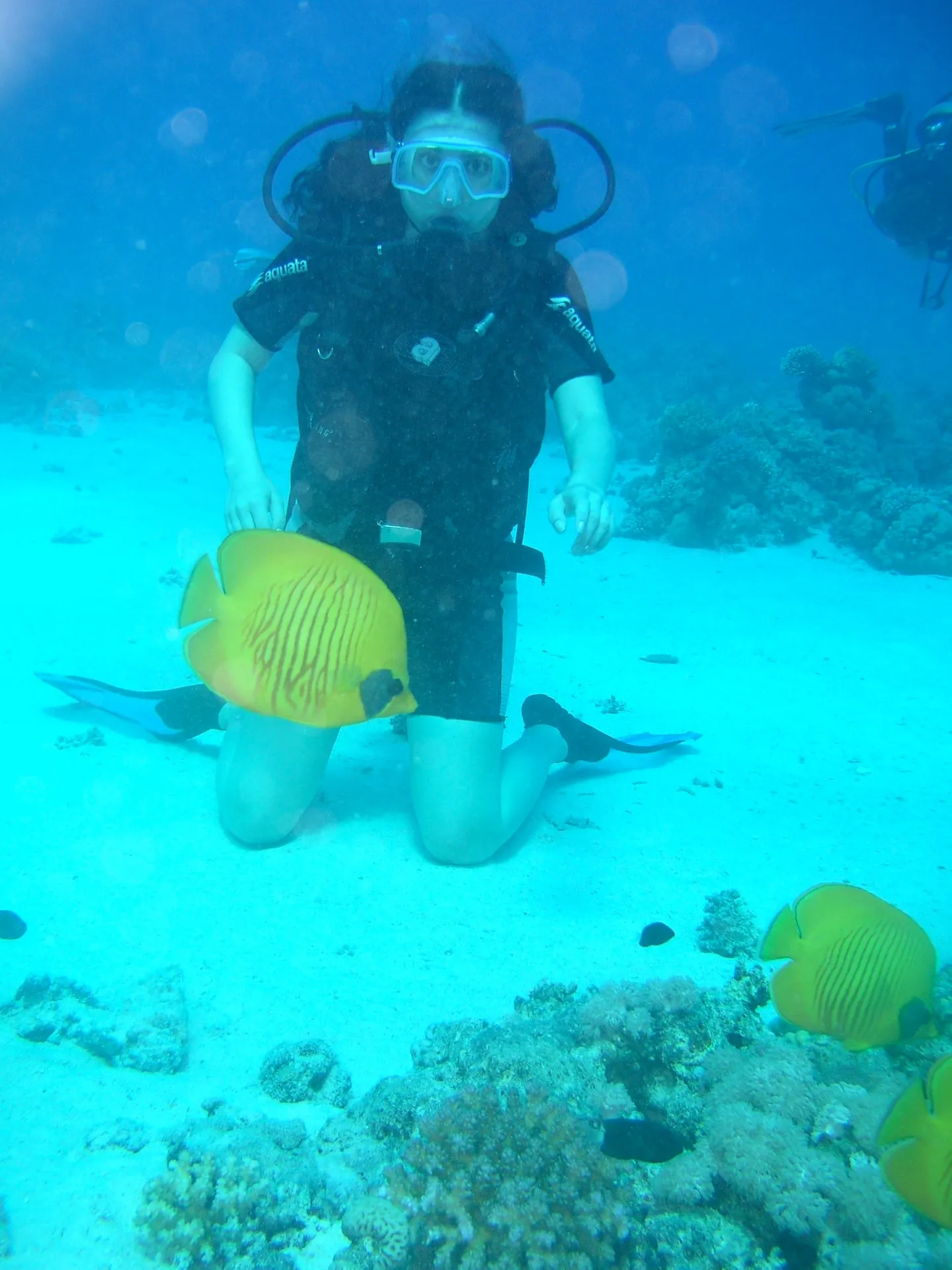 Photo 7 from “Diving in the Red Sea”