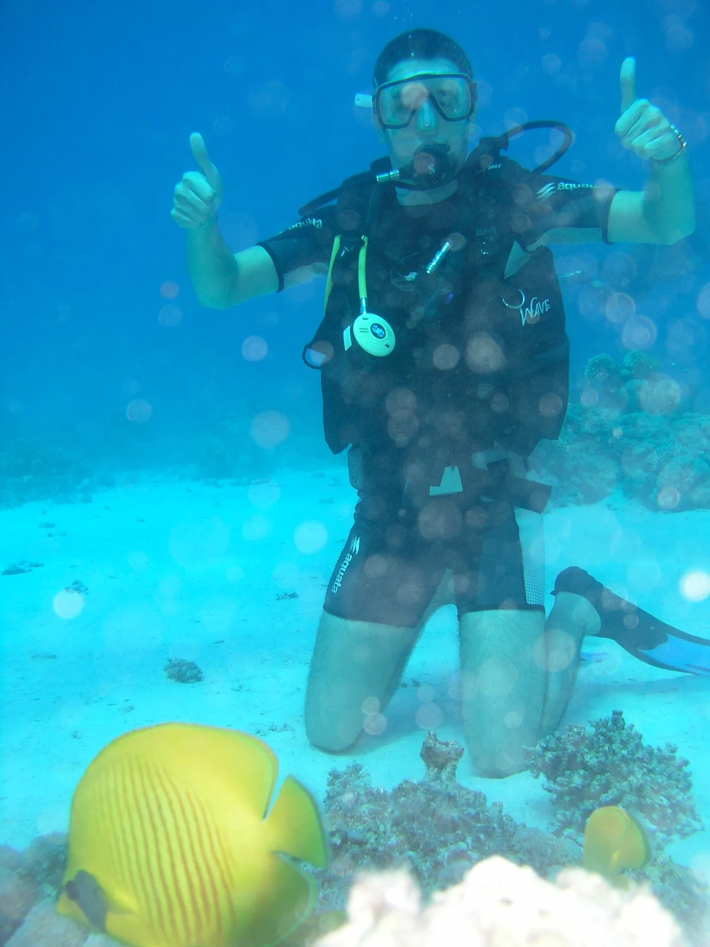Photo 8 from “Diving in the Red Sea”