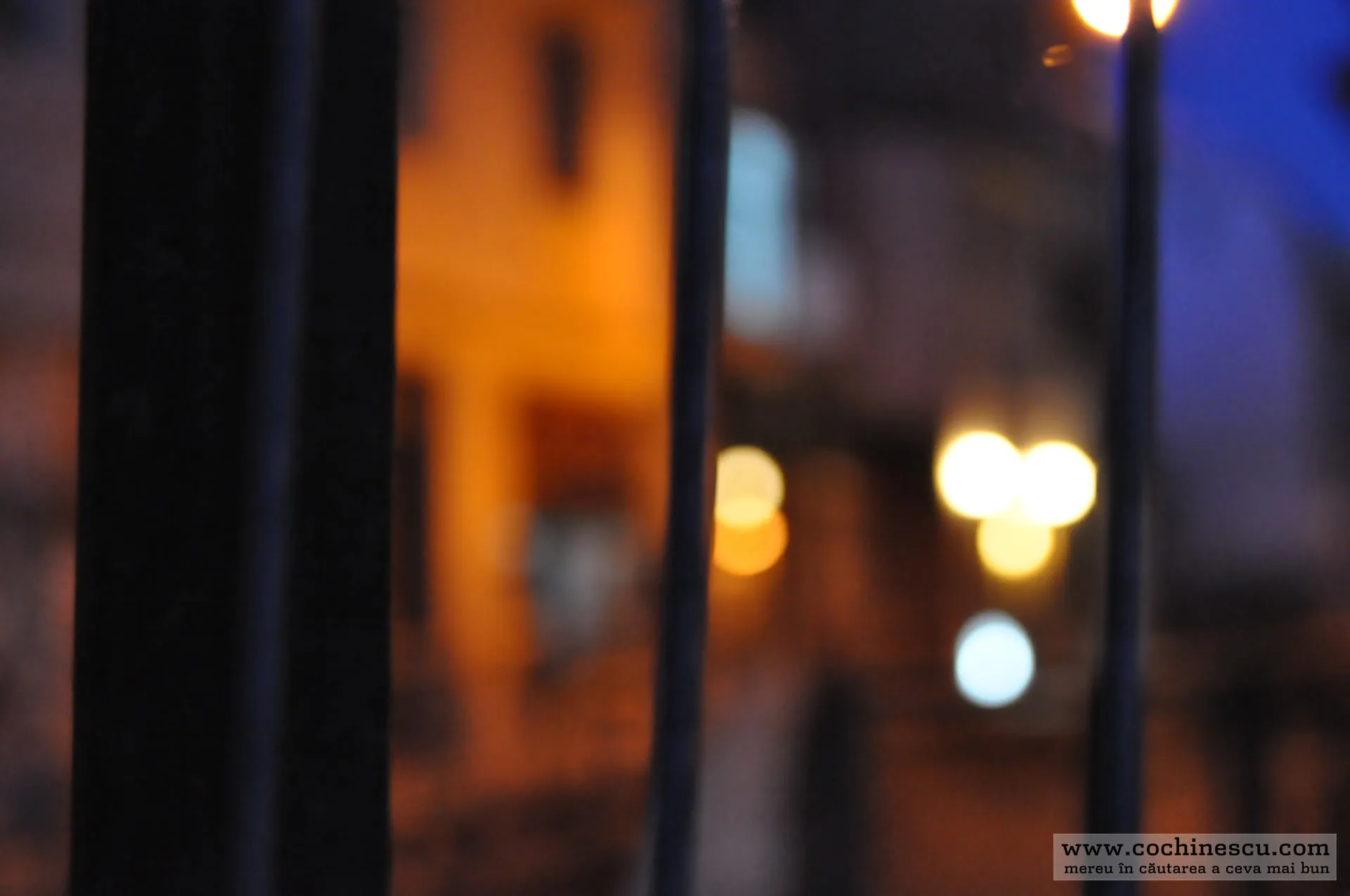 Photo 9 from “Photowalk #9”