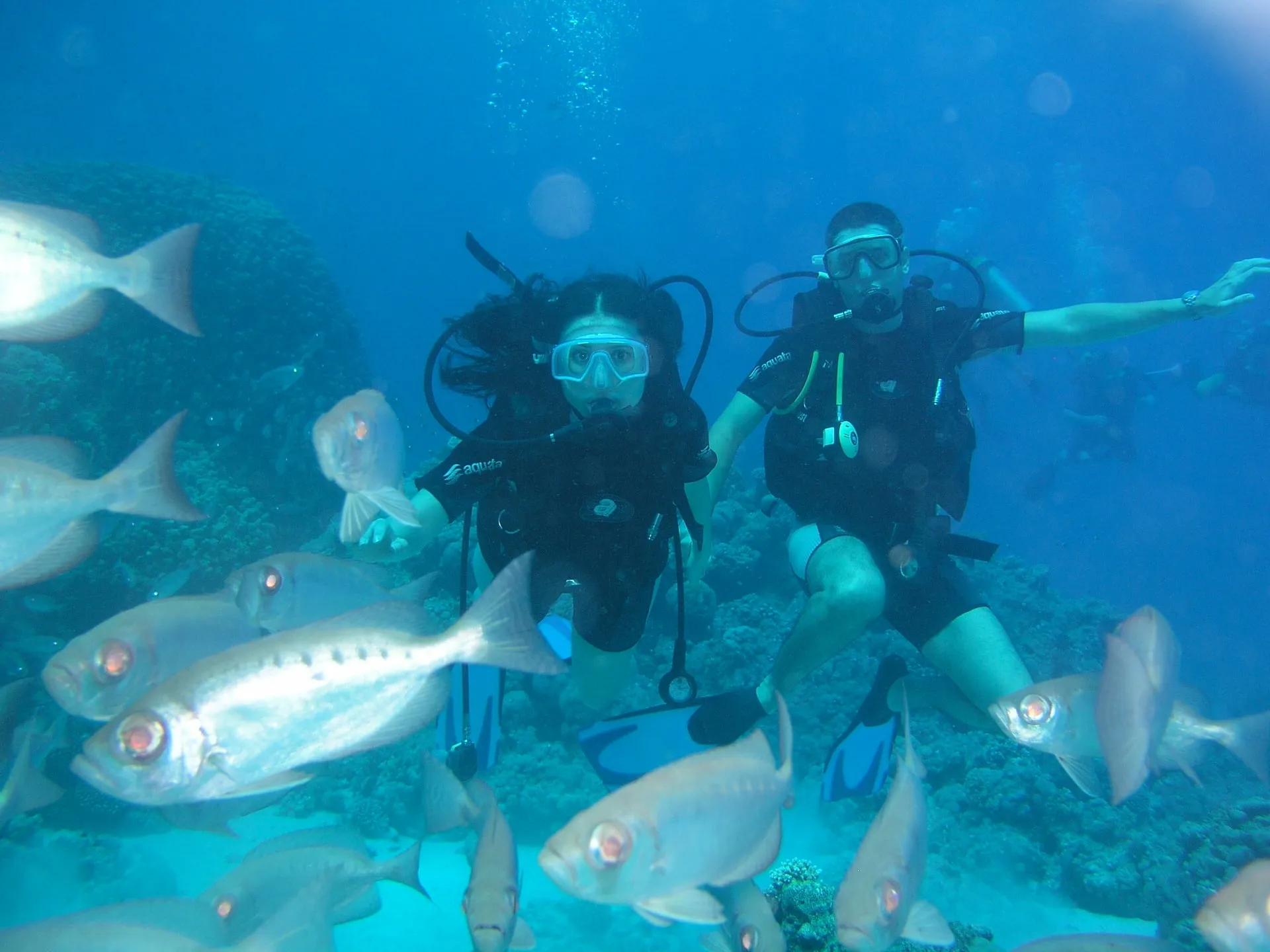 Photo 10 from “Diving in the Red Sea”
