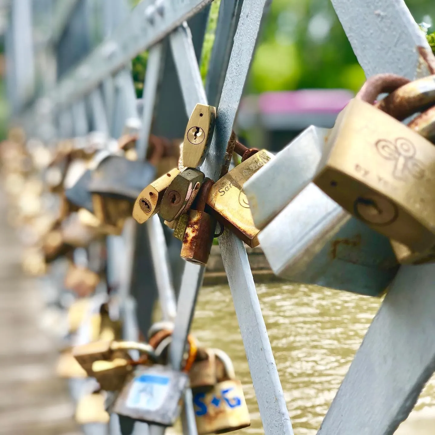 Close-up of brass and metal padlocks clipped to a white bridge railing above the water.