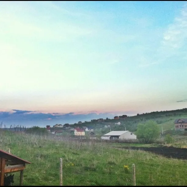A wooden doghouse in a meadow, with houses on the hillside beneath the twilight sky.