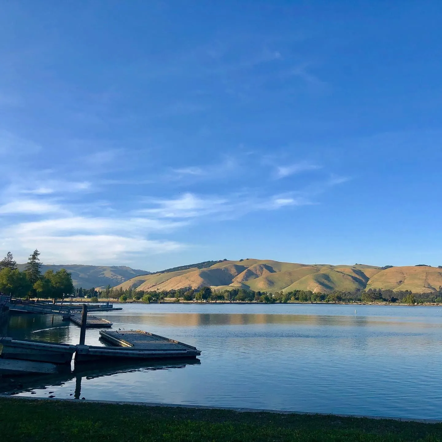 A calm lake with floating docks and golden hills stretches under a bright blue sky in Fremont.