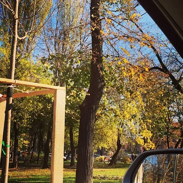 Autumn trees with yellow and green leaves, seen through the car window in a sunny park