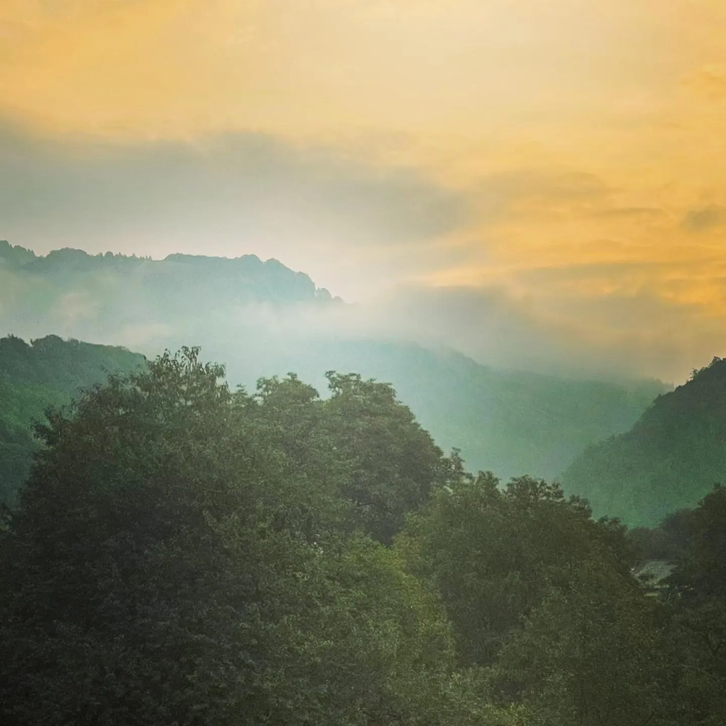 Misty forested mountain landscape under a golden sky at dawn or dusk.