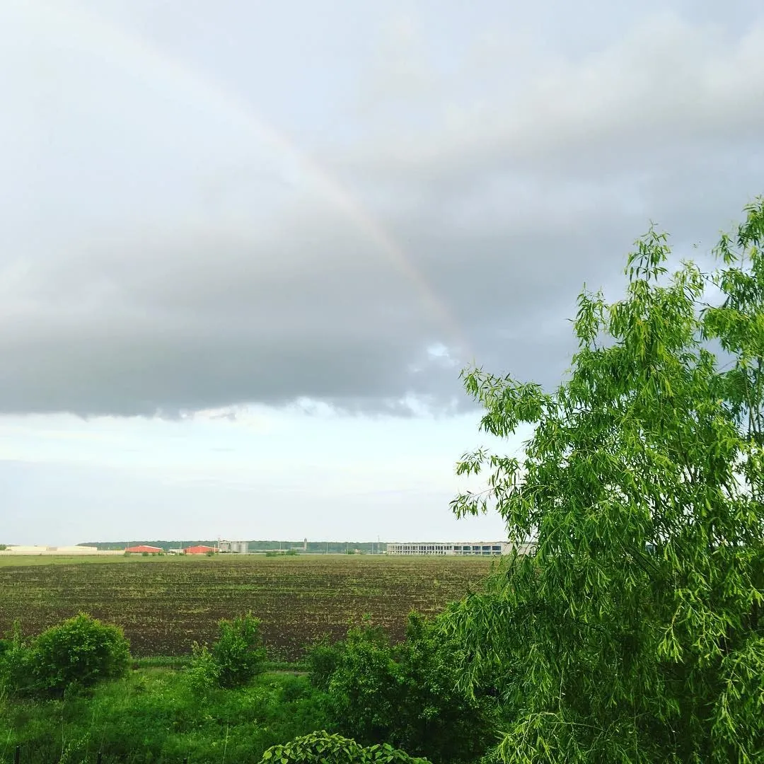 A faint rainbow over a plowed field and distant buildings under a cloudy sky with green trees in the foreground