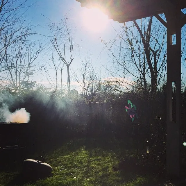 Bright sunshine over a yard with bare trees, smoke from a barbecue, and green grass.