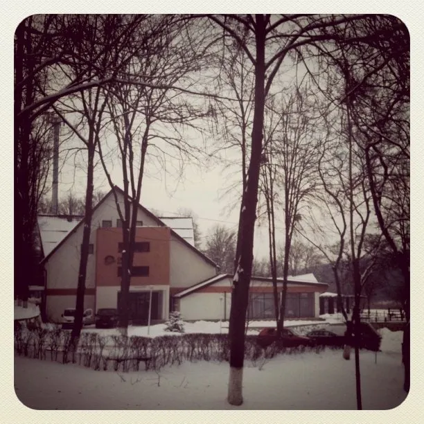 The Hotel Ciric building in winter, seen through bare trees in the snow.