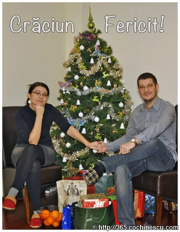 Cătălina and Sebastian are standing next to the decorated Christmas tree, holding hands.