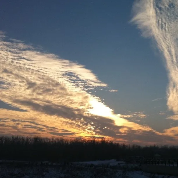 Winter sky with golden clouds at sunrise or sunset, above a silhouette of bare trees and a snow-covered landscape.