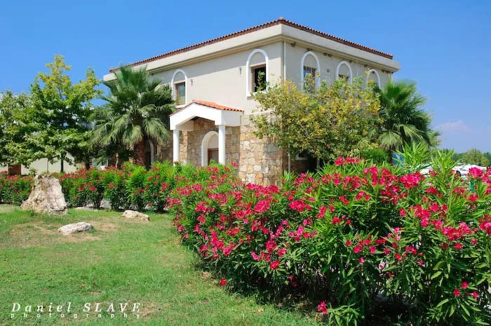 A white villa surrounded by palm trees and flowering oleander bushes.