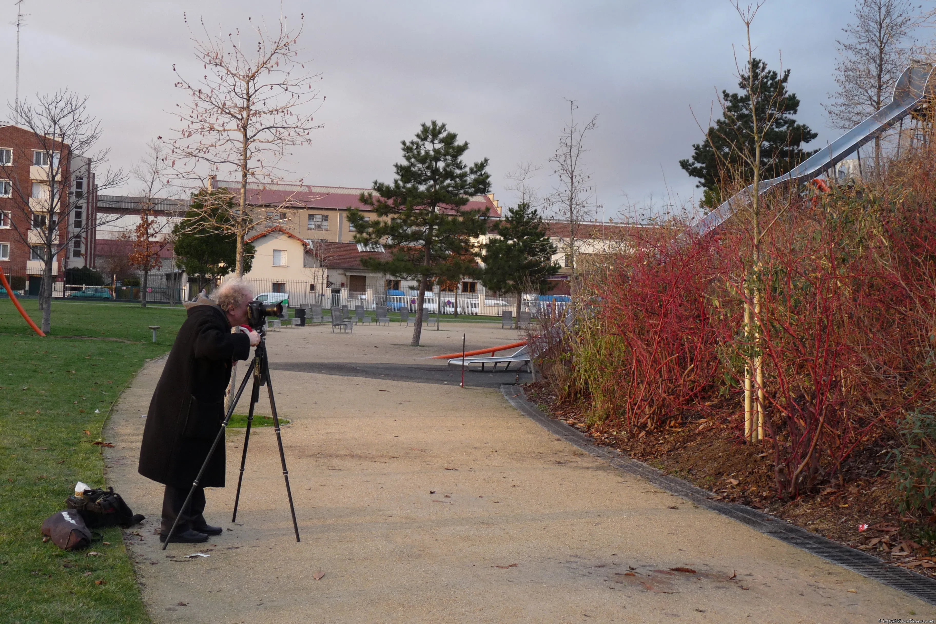 A photographer looks through a camera mounted on a tripod in a park.