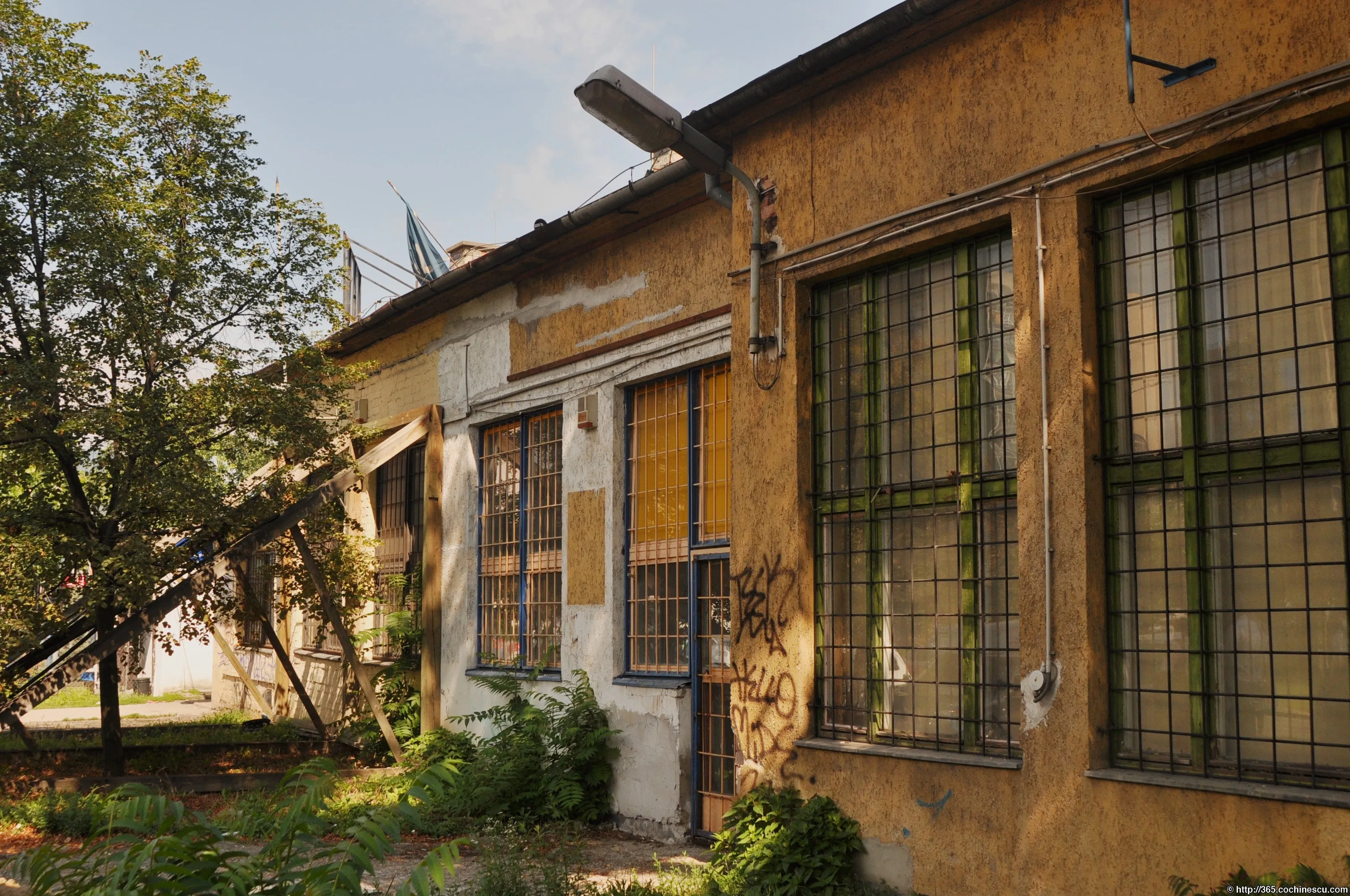 A courtyard with vegetation surrounds an old building with large, barred windows.
