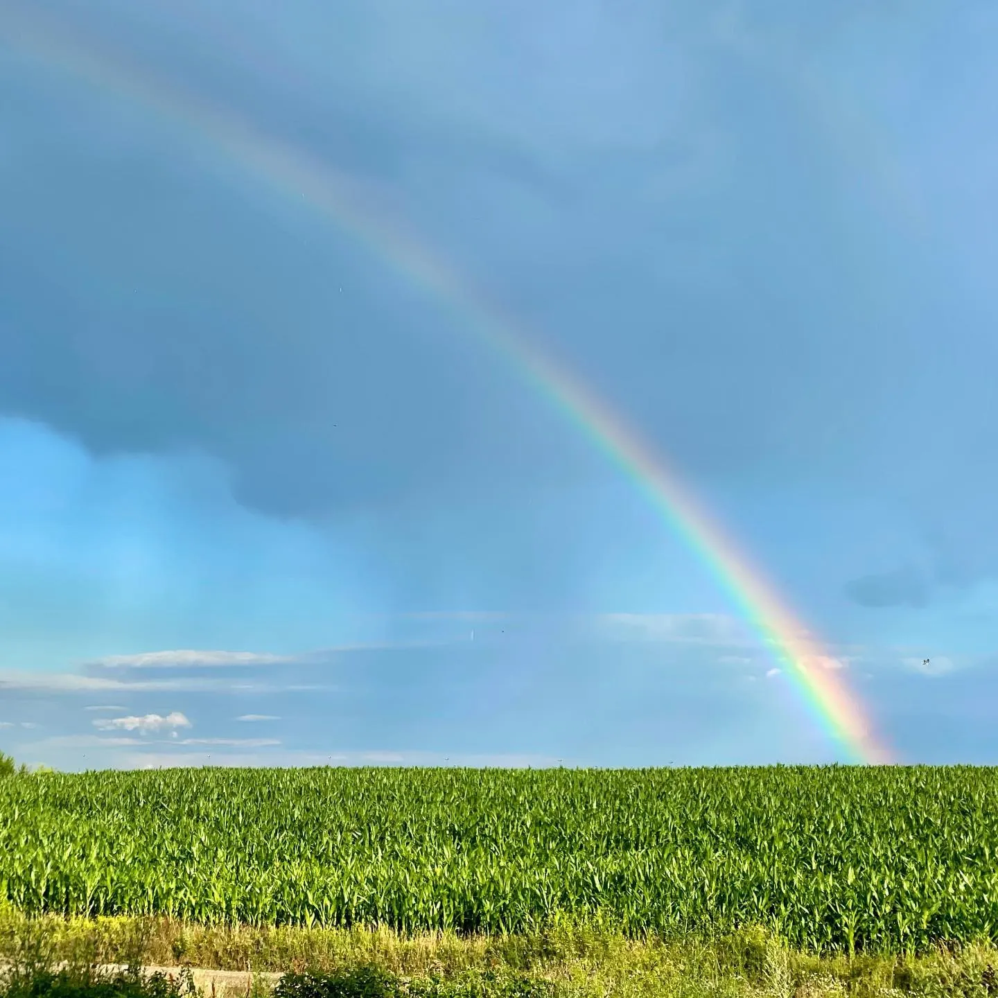 A rainbow arcs over a lush green field beneath a blue, rain-filled sky.