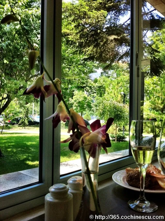 A vase of orchids and a glass of wine sit by a window overlooking the garden.