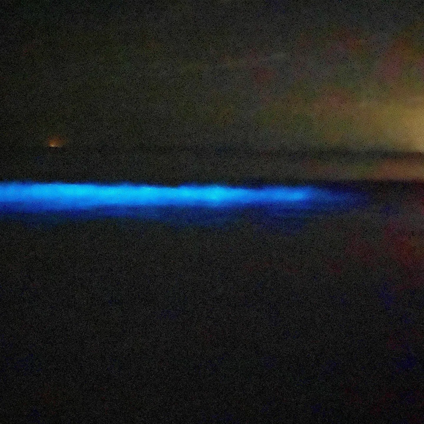 A glowing blue streak of fluorescent plankton cuts across dark seawater at night.