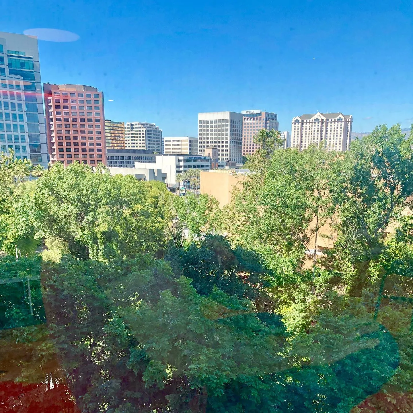 San Jose skyline of office towers rises above dense green park trees under a clear blue sky.