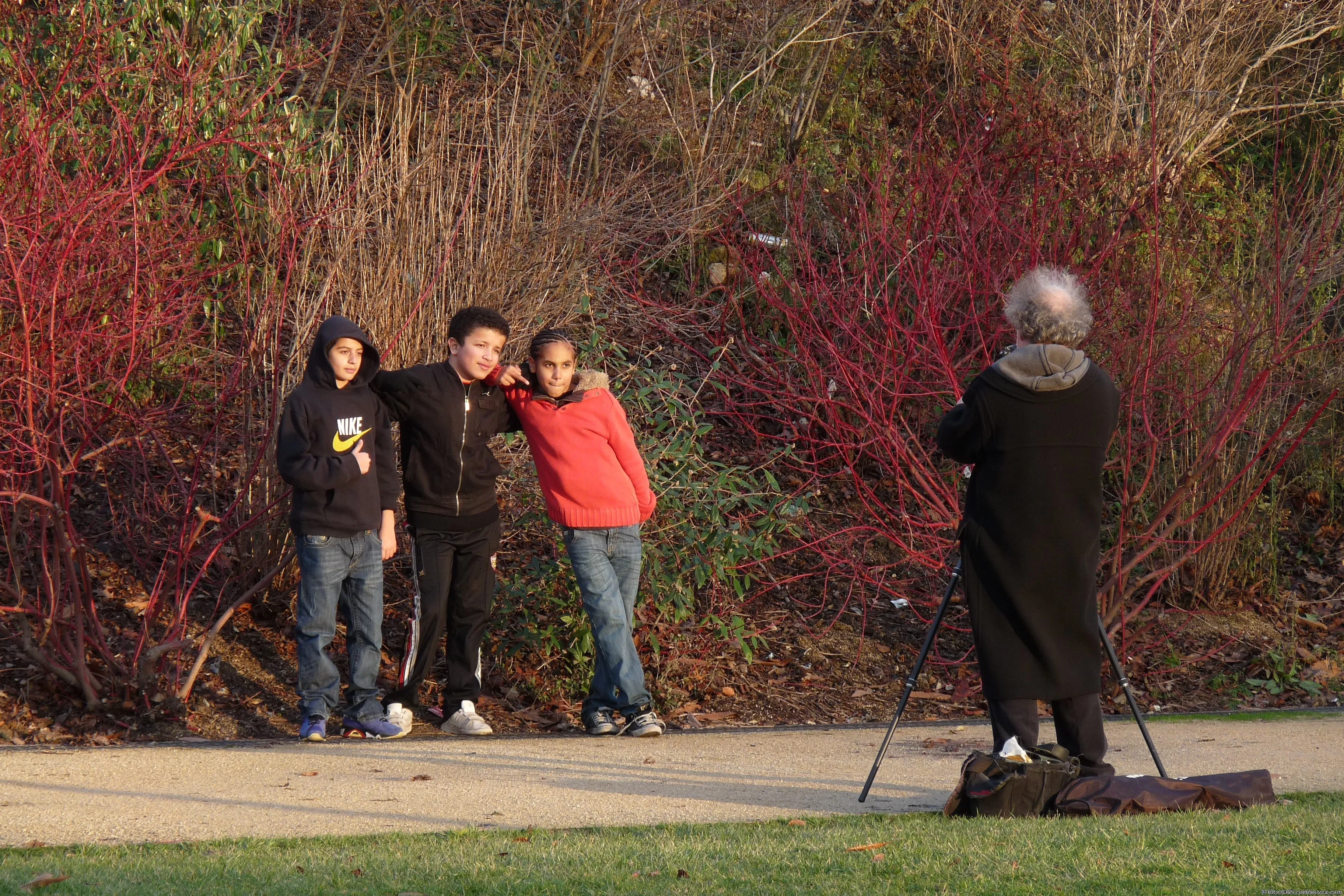 Three teenagers pose for a photographer next to the red bushes in the park.
