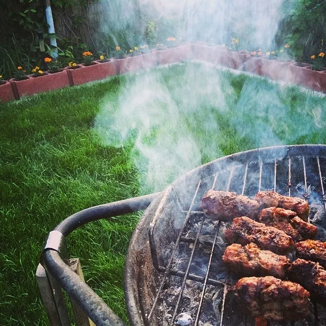 A round barbecue grill with mici sizzling over hot coals, smoking away on a green lawn edged with orange flowers.