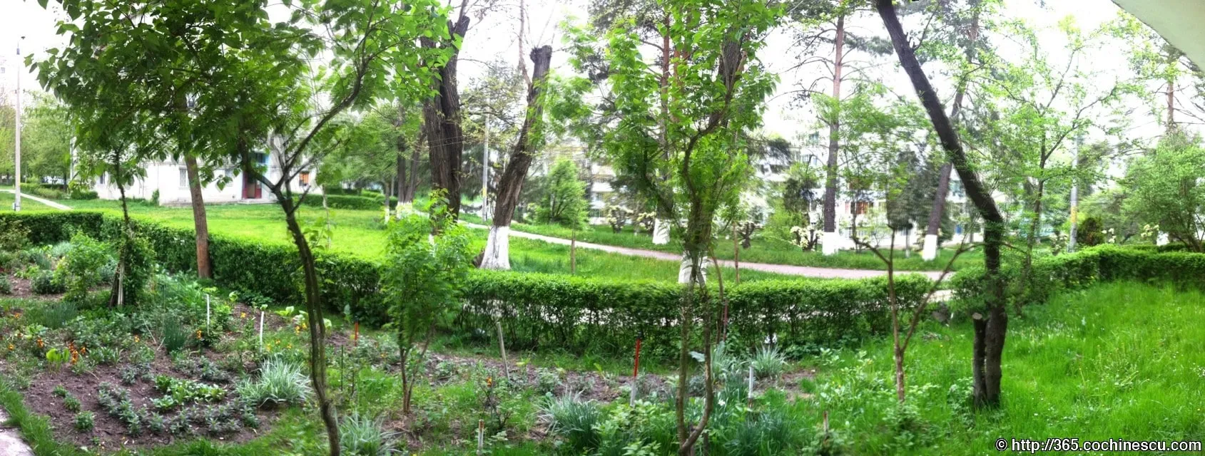 A garden with flowers, grass and trees stretches between the apartment blocks.