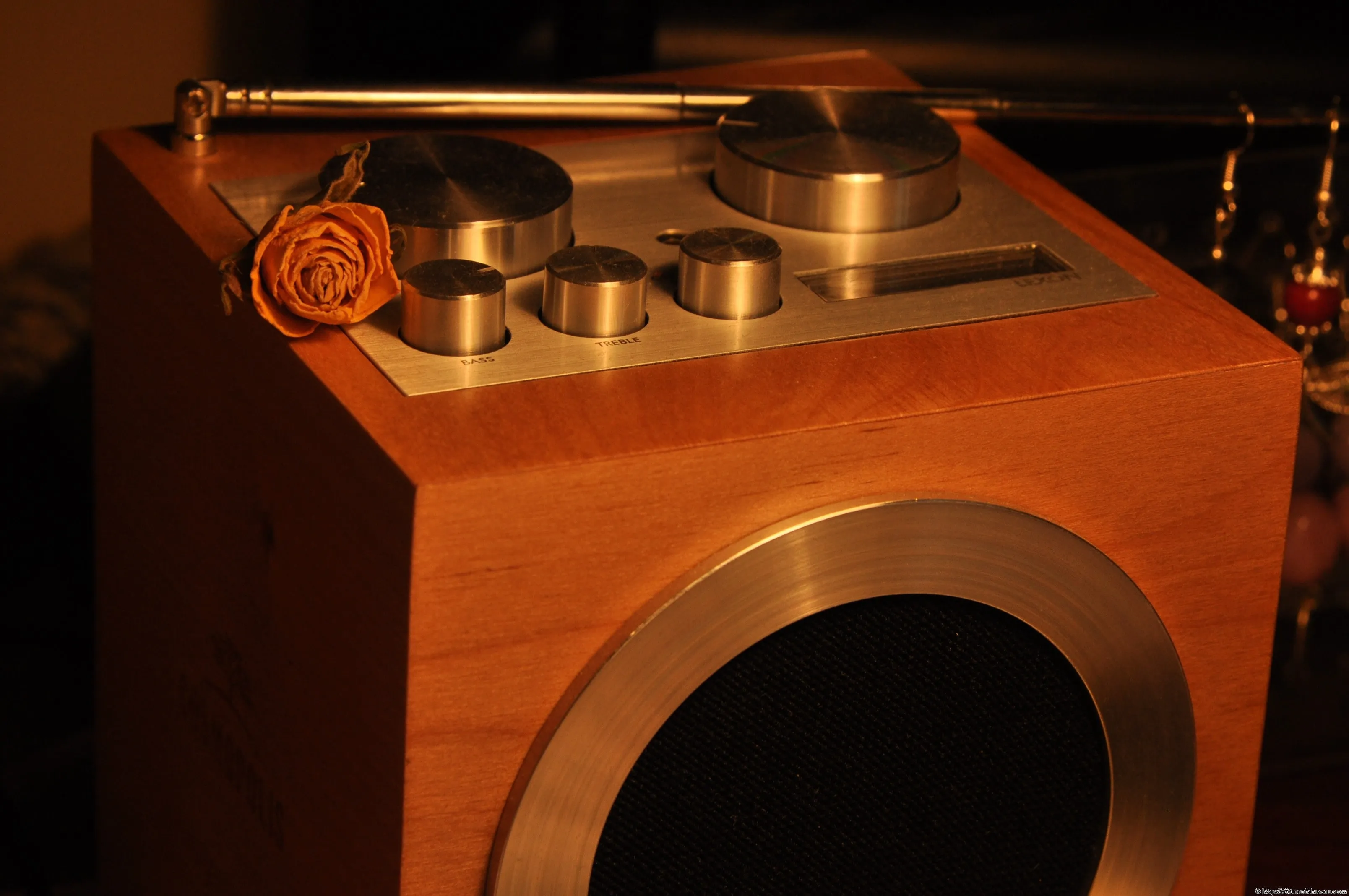 A dried rose sits on a wooden radio, lit in warm tones.
