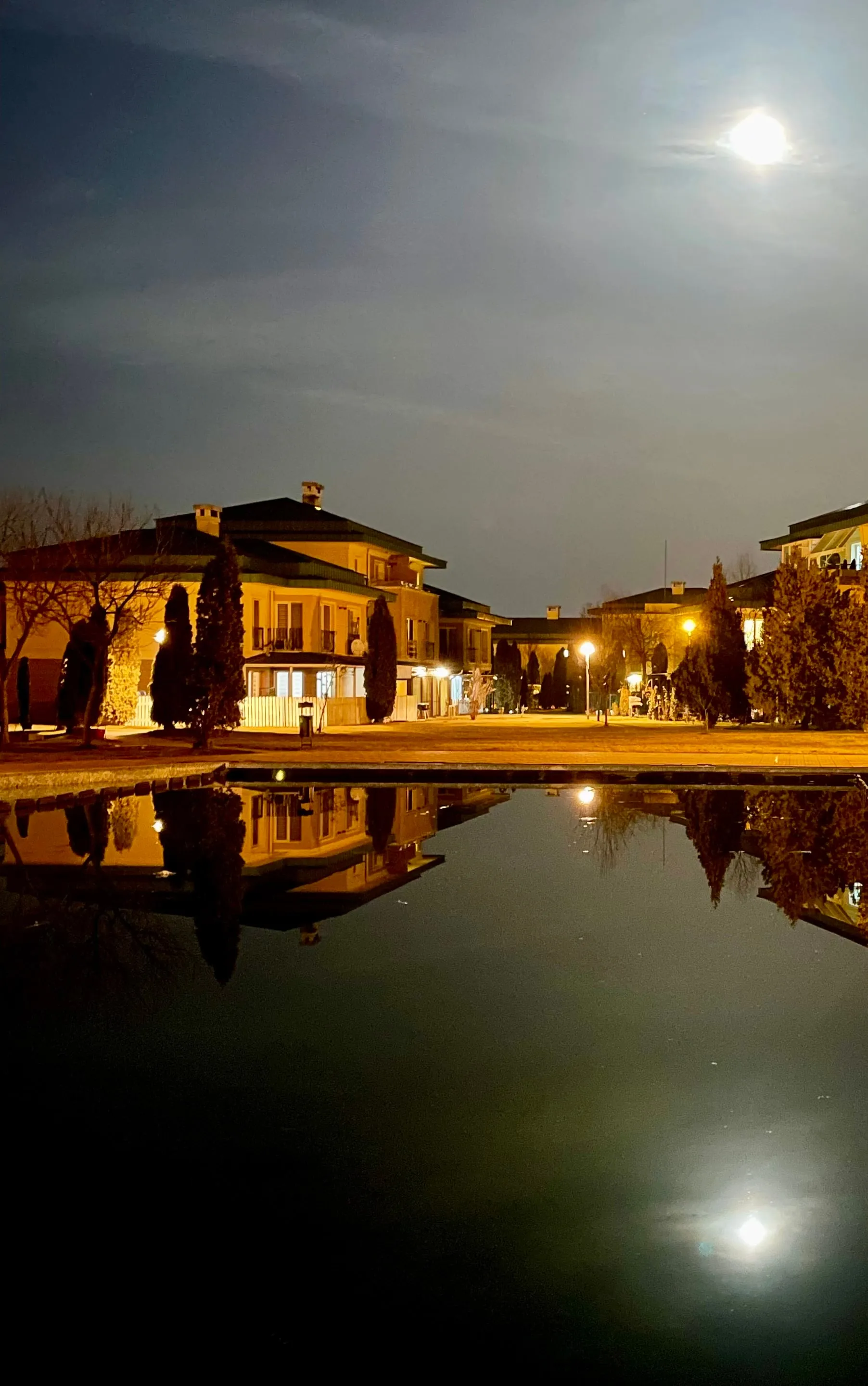 Houses and trees mirrored in a still pond under a full moon