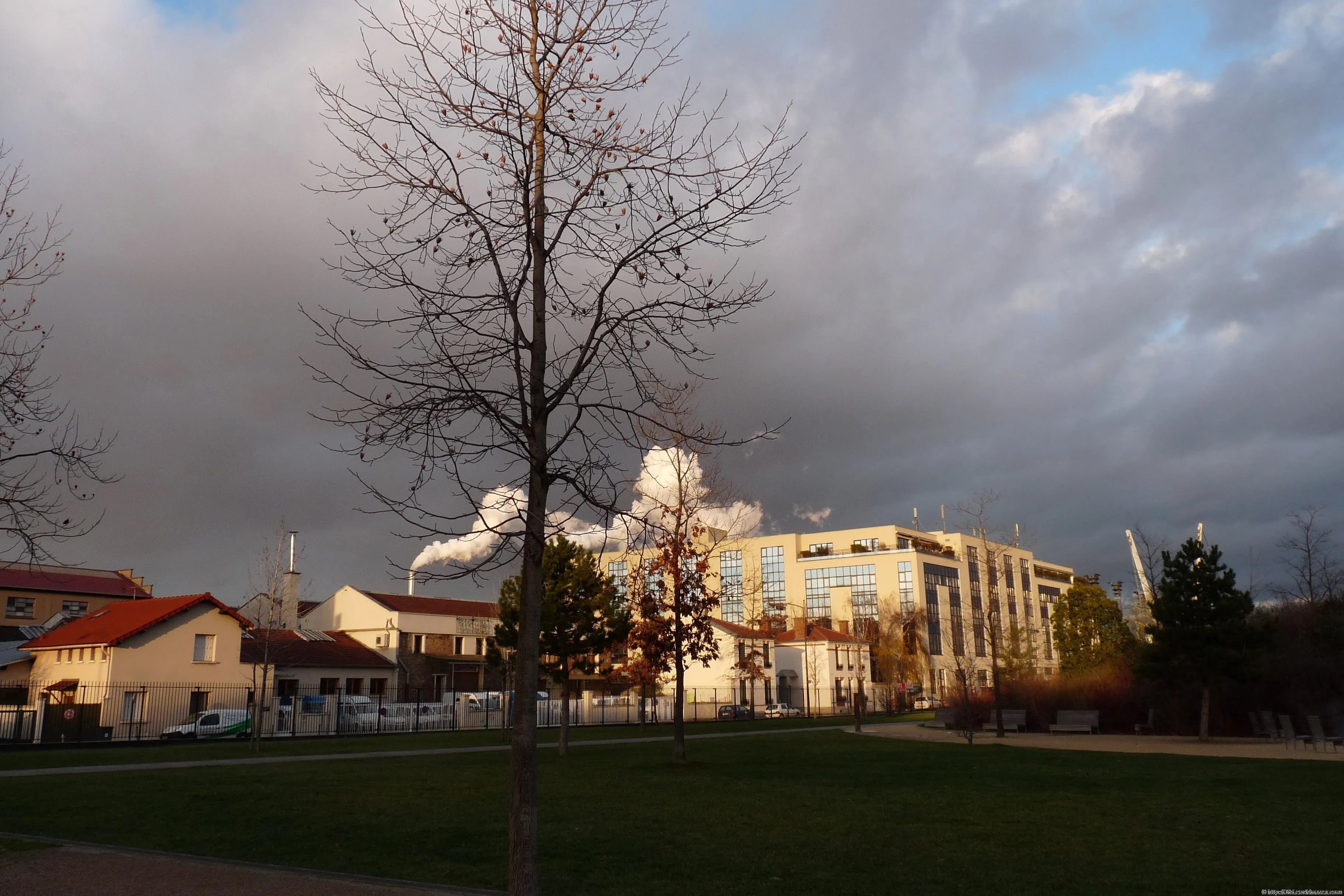 Industrial steam rising above buildings seen from a park under a dark sky.