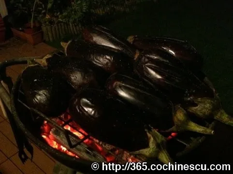Several eggplants roasting over hot coals on a grill.