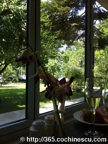 Flowers, a glass of wine and a plate sit beside a window overlooking the garden.