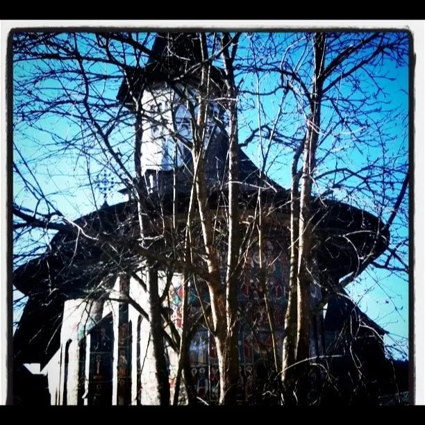 The tower and painted façade of Sucevița Monastery, seen through the bare trees.