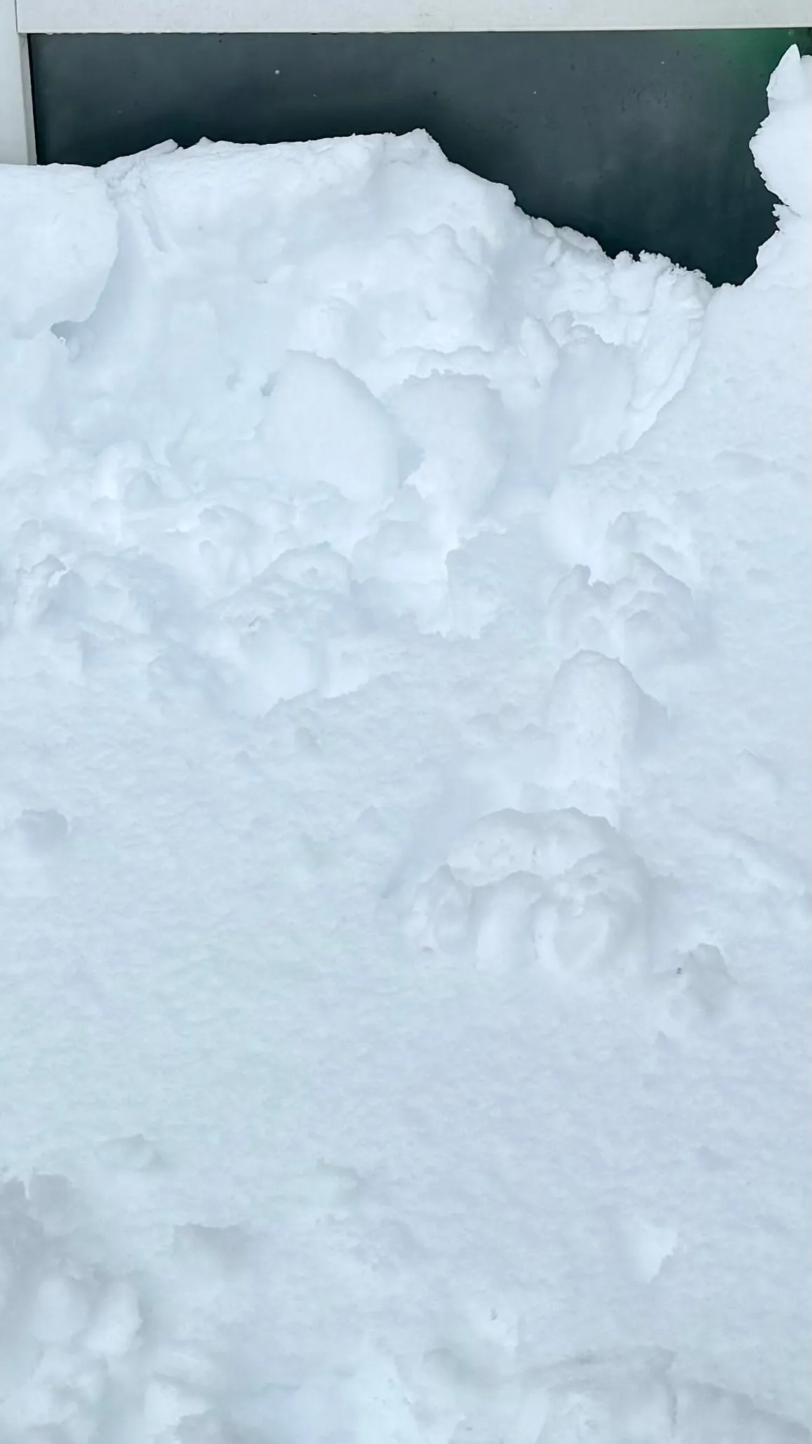 Close-up of a fresh snowdrift