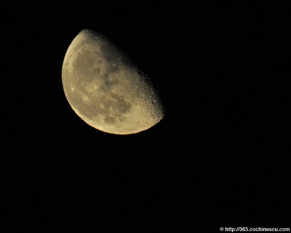 The moon in its last quarter, photographed against the black sky.