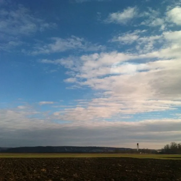 Open fields under a blue sky with scattered clouds, seen from the road.