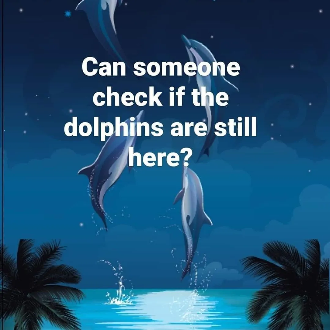 An illustration shows dolphins leaping from a moonlit tropical sea beneath a question about whether they are still here.