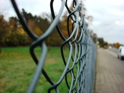 Photo from “Germany”