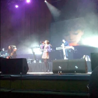 Thievery Corporation