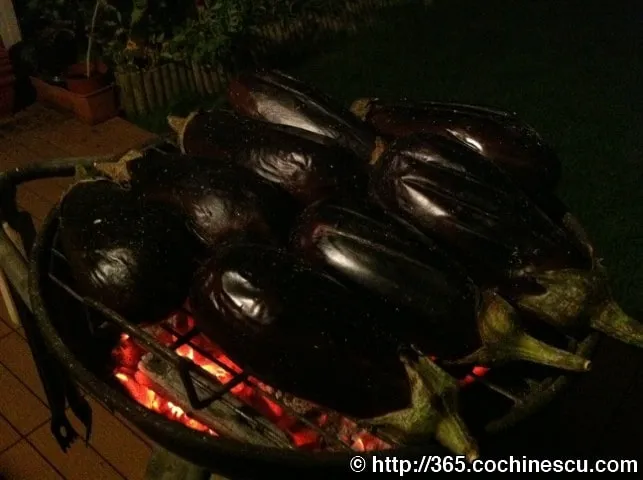 Glossy eggplants laid out to roast over the hot coals of a grill.